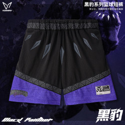 VEIDOORN 黑豹系列短裤篮球训练运动速干短裤赴战球员同款