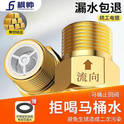 家用螺纹单向止回阀黄铜马桶4分防返水卫生间水管阀防回水止逆阀
