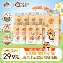 清风 抽纸 4层250抽10包