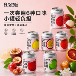 斑马精酿 果味女士微醺果酒 茉莉荔枝血橙百香山楂啤酒 330ml*6听