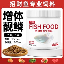 大拇指 招财鱼饲料专用鱼食地图鱼战船鱼抗病防烂身热带观赏鱼发财鱼鱼粮
