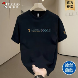 啄木鸟 男士短袖T恤美式休闲风夏季冰丝速干运动打底汗衫圆领半袖