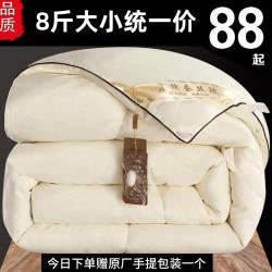 桐乡 桑丝棉被 冬被被芯 夏凉被 加厚保暖 结婚被子 空调被
