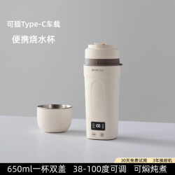 真米 德国真米电热杯小型迷你便携式烧水壶办公室旅行加热保温电热水杯