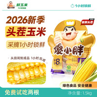 移动专享、移动端：傻小胖 香糯玉米棒玉米段真空锁鲜内蒙古玉米可试吃