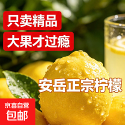 京喜加 纯正安岳黄柠檬独立包装1-9斤尝鲜装 带箱2斤 单果 80g / 个 净重1.8斤