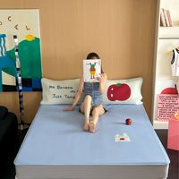 CHICHIMOLA冰纤维凉席凉感ins博主风学生冰丝席夏空调三件套定制