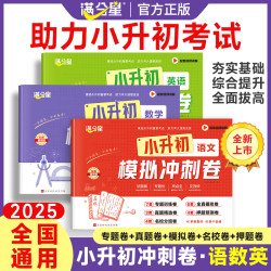 2025语数英名校冲刺卷毕业总复习小升初必刷题