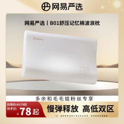 网易严选 ｜B01航空系列全尺寸舒压记忆棉波浪枕透气