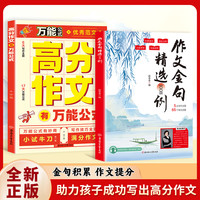 作文金句精选1008例 提高阅读积累精选金句写作方法与技巧书籍