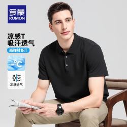 罗蒙 高端冰丝凉感高弹短袖t恤