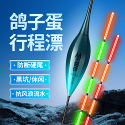 铭铮钓具 硬尾电子夜光漂高灵敏咬钩变色日夜两用鲫鱼浮漂鸽子蛋枣核行程漂