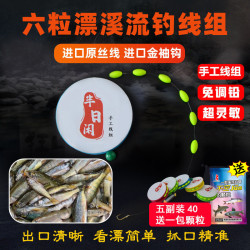 半日闲（家居） 半日闲钓鱼线组送一包颗粒六颗豆高灵敏钓石斑免调漂七星漂户外
