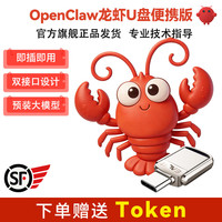 忆捷 Openclaw小龙虾U盘双接口智能体大容量即插即用免安装