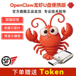 忆捷 Openclaw小龙虾U盘双接口智能体大容量即插即用免安装