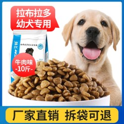 艾顿 拉布拉多狗粮幼犬专用去中大型犬牛肉味5kg10斤装