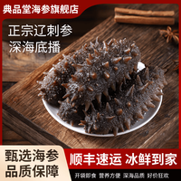 典品堂 即食海参20根(约8cm/根)