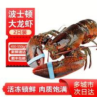 百鲜洽 特大龙虾波士顿龙虾  2只装（净重450g-550g/只）