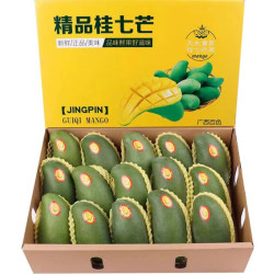 广西 百色 桂七芒 4.5斤装 特大果 单果250克+