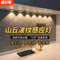 以典 【供货，价格更低】猫眼波纹灯条 20CM黑色【常亮+人体感应】