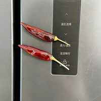 赋闲 辣椒磁吸摆件智能门锁装饰磁贴个性diy2026马年新款门贴 干辣椒冰箱贴-1个
