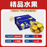 百亿补贴：绿岸 Green Shore 绿岸 四川半边红李子 4.5斤 彩箱