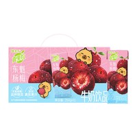 真果粒 蒙牛真果粒牛奶饮品 东魁杨梅味含乳饮料 250g*12包