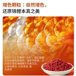 yee 锦鲤金鱼孔雀鱼增色不浑水鱼粮