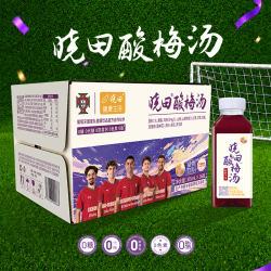 晓田 酸梅汤365ml*16瓶0防腐剂0咖啡因（新老包装随机发货）