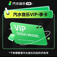 汽水音乐 VIP会员3个月会员 季卡