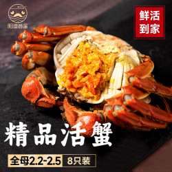 阳澄逍遥 大闸蟹六月黄 2.2-2.5两 8只 苏州源头直发