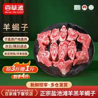 百草滩 羊 宁夏盐池滩羊  羊蝎子4斤 盐池滩羊 地标产品