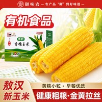 御味农 有机新鲜黄糯玉米内蒙古敖汉香甜粘黏糯玉米段软糯真空包装