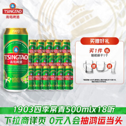 青岛啤酒 1903系列 拉格啤酒 500ml*18听