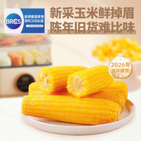 北誉甄品 黑龙江 黄糯玉米 250g*8棒