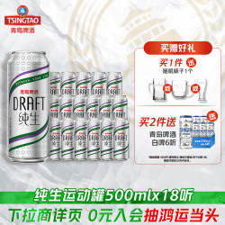 青岛啤酒 纯生系列 500ml*18听