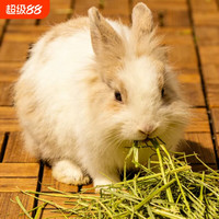 新货速发1kg美国哈尼五斤装兔粮晒干美提一番龙猫豚鼠荷兰猪兔子