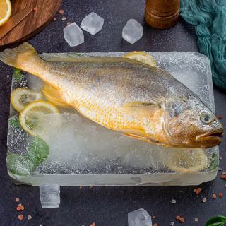 国联 东海宁德大黄鱼净重1kg 3条装