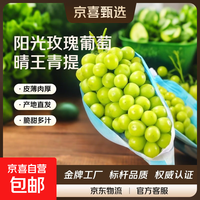 京东 A现摘现发大凉山晴王阳光玫瑰自带花香高山果园应季青提水果生鲜 中果单果6g 带箱四斤(性价比)