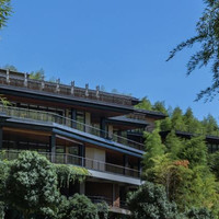 湖州慧心谷绿奢度假村 茶居野奢双卧别墅1晚