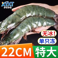 虾有虾途 青岛 南美白对虾 1600g 13-15cm