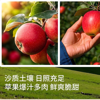 版纳雨林 NFC鲜榨苹果汁 280ml*12瓶 果汁饮料