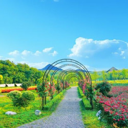 莫干山象月湖国际休闲度假谷 马赛法式亲子Loft『景观露台|独立客厅|微波炉|冰箱』2晚(连住)
