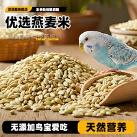 深深宠 鹦鹉鸟食燕麦米燕麦仁雀麦野麦虎皮玄凤牡丹小太阳鸟粮食营养饲料