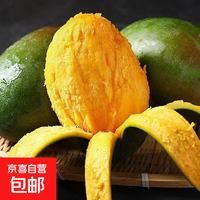 四川攀枝花凯特芒果 大脸芒 特大青皮芒 当季整箱 净重4.5斤