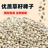深深宠 鹦鹉稗子草籽鸟食珍珠鸟食芙蓉雀鸟文鸟粮草种子水子野生鸟饲料