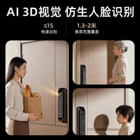 凯迪仕 P30 Pro Max 人脸识别 双摄版 智能门锁