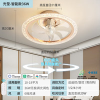 雷士 吊扇灯风扇灯卧室 【智控】光莹金36W | 可摇头（特权金延保一年）