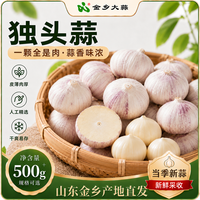 金乡大蒜 新鲜紫皮独头款 含箱净重500g+