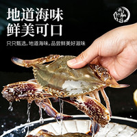 舟山海捕特大梭子蟹 单只4-6两丨6-8只